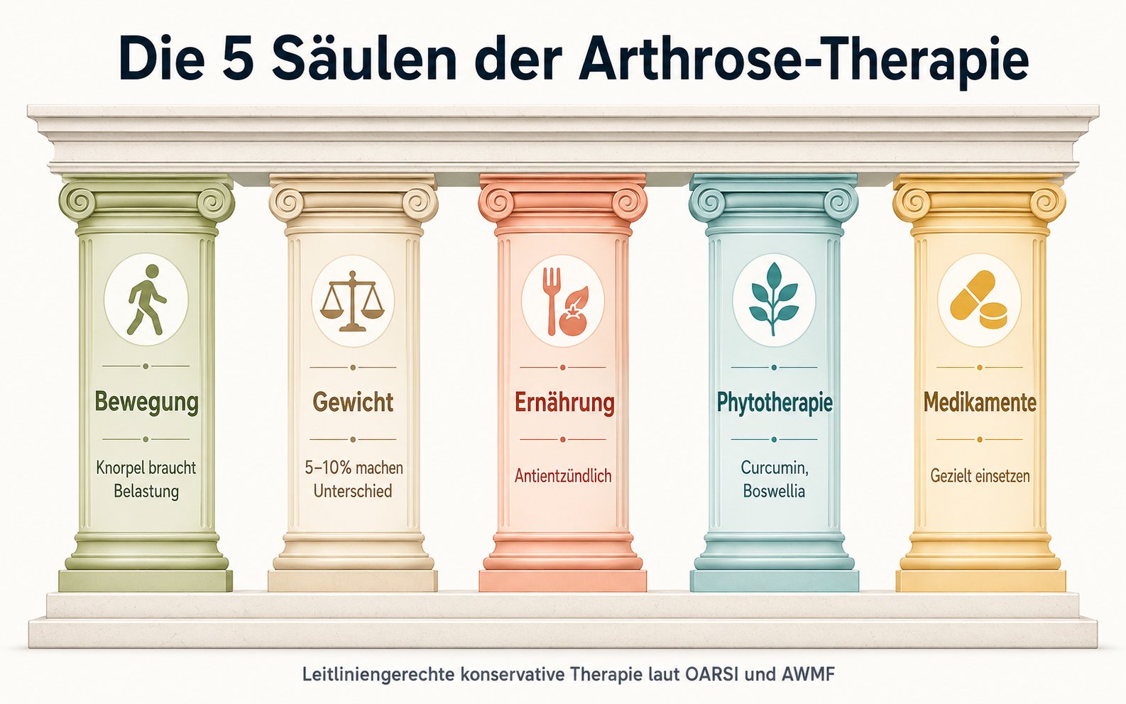 Die fünf Säulen der konservativen Arthrose-Therapie: Bewegung, Gewichtsmanagement, Ernährung, Phytotherapie und gezielter Medikamenten-Einsatz.